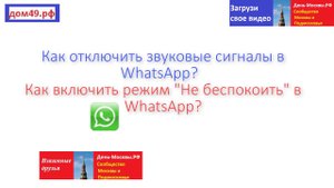 Как отключить звуковые сигналы и включить режим 'Не беспокоить' в WhatsApp
