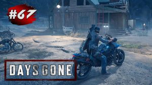 DAYS GONE (Жизнь После) ➤ Прохождение # 67 ➤Возвращение в Лагерь Хот Спрингз