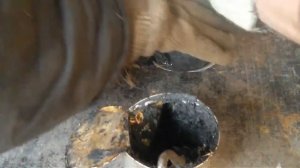 Фильтр расплава полимеров. замена сетки без остановки экструдера 3 11 2014