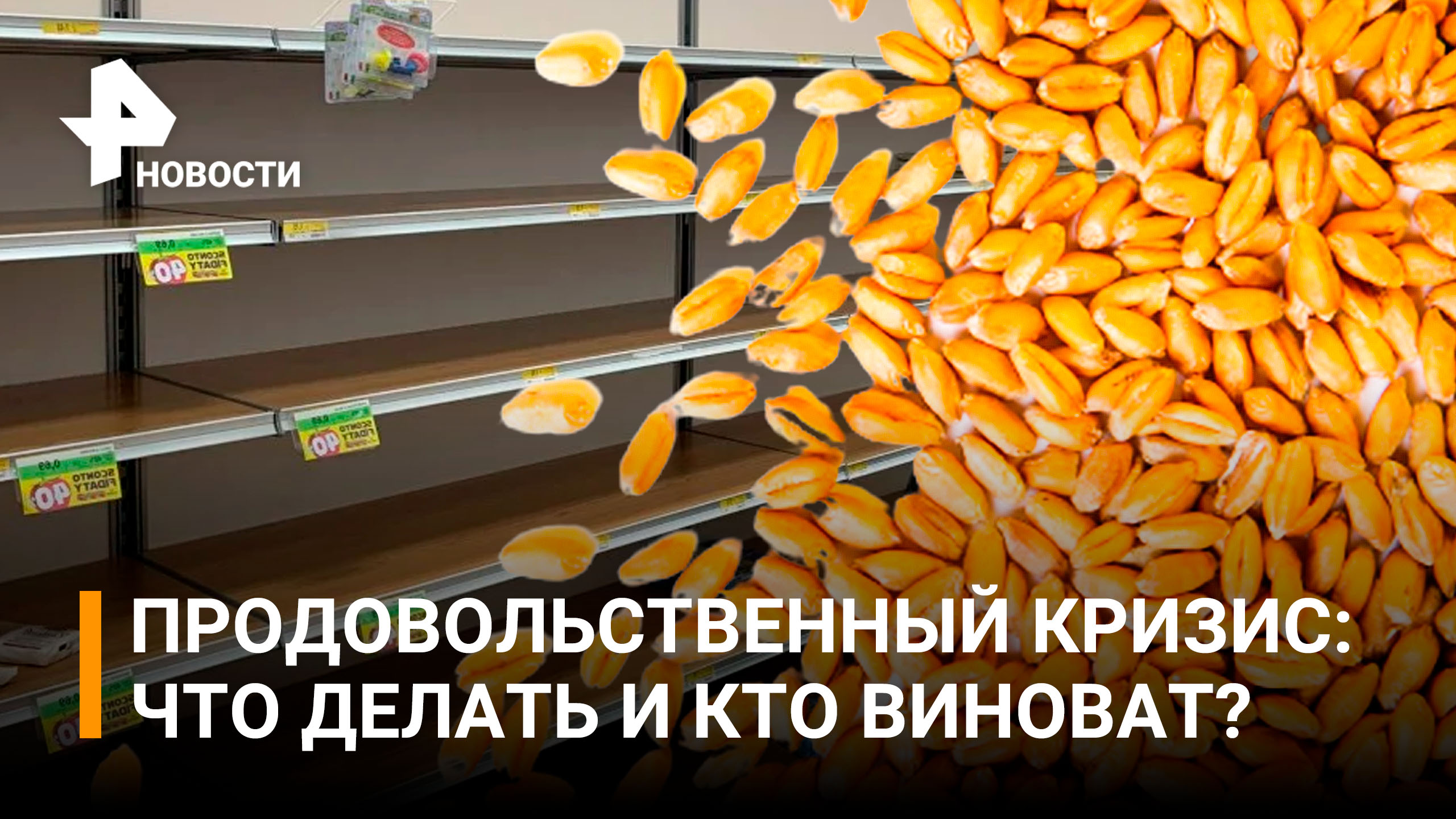Долю Украины в экспорте зерна на мировой рынок признали преувеличенной / РЕН Новости
