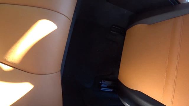 Моем Toyota Yaris и BMW 430.Убираем шерсть.Работаю в Америке.Детейлинг авто.Собачья будка на колеса