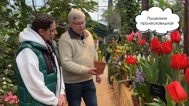 Настоящая весна в Аптекарском огороде. Прогулки по Москве
