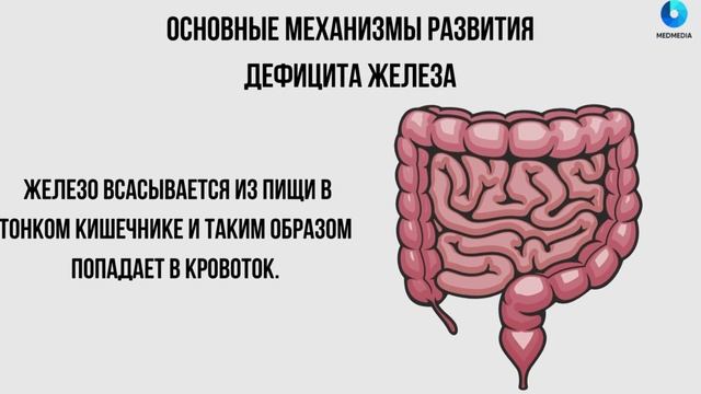 Железодефицитная анемия смотреть онлайн