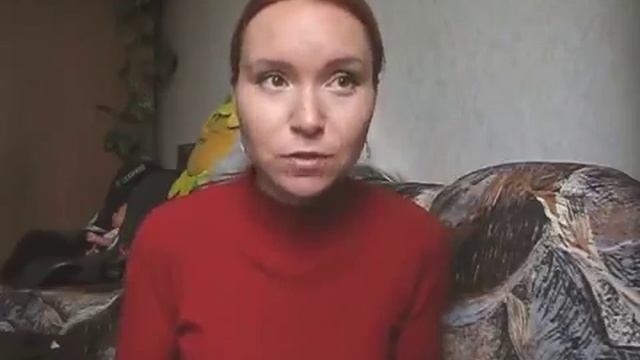 Как избавилась от страха пауков (арахнофобия) #мояпрокаяка смотреть онлайн