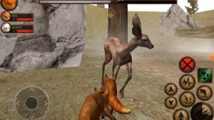 ?Симулятор Лисы | Пополнение в семье - BABY FOX