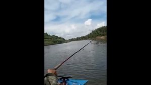 Кокцикмень 13 06 2021