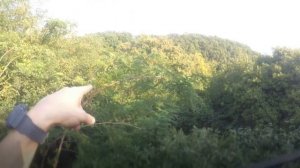 Недвижимость Туапсе. Дача у моря за 1.1 млн. рублей.