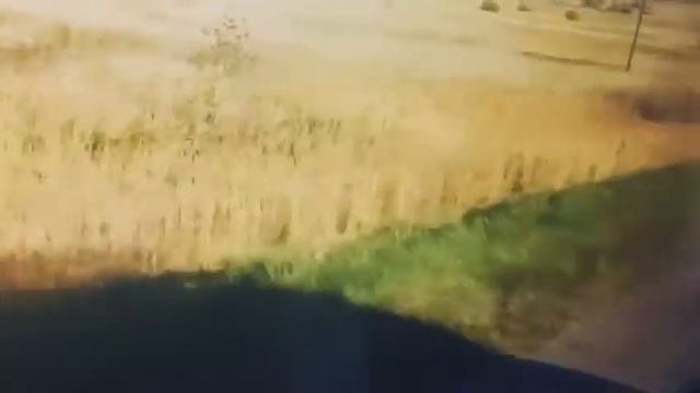 Поехала в санаторий "Искра". 256 смена? смотреть онлайн