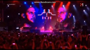 Настя Каменских   Стиль собачки live