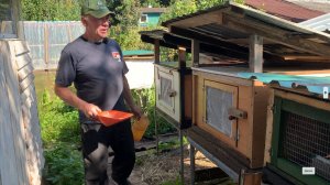 Много крольчат этим летом народилось