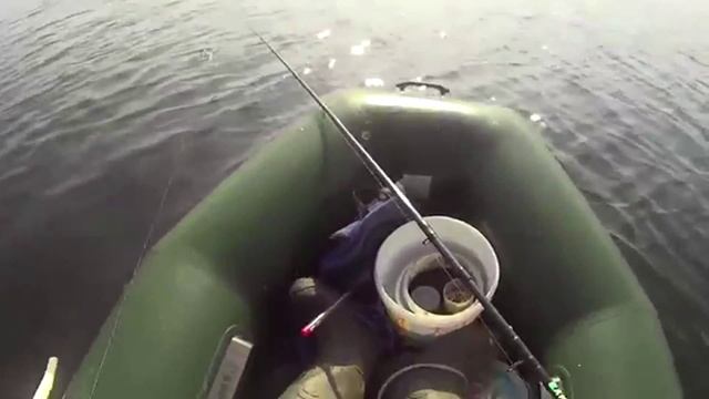 ловля осенней чехони на фидер с лодки смотреть онлайн