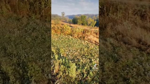 5 сентября 2022 г. смотреть онлайн