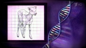 Лаборатории по всему миру клонируют животных от мясных бычков до домашних любимцев