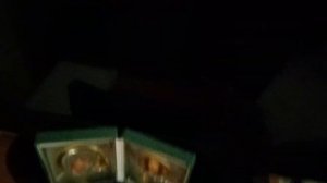 Чем кормить малька. Тернеции. Меченосец. Гуппи.