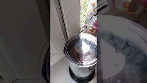 Капучинатор - делаем какао за 2 минуты
