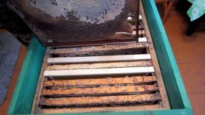 Обновление гнезда рамочек в 16 рамочном улье. Beekeeping.