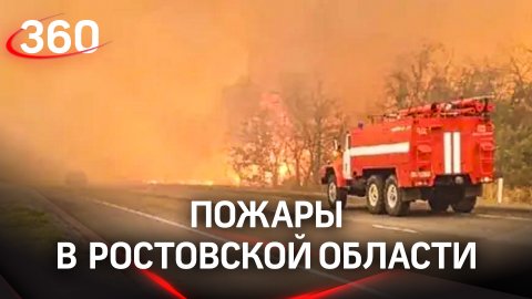 Природный пожар в Ростовской области чуть не обернулся взрывом местной АЗС