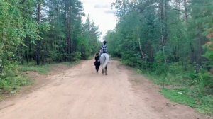 ?ЖЕНЩИНА УПАЛА С ЛОШАДИ?! ?