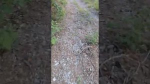 Архимандритское озеро