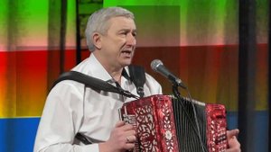 Стояла чудная сосна☀️ ? Народная песня под гармонь о ЛЮБВИ ❥ Играй гармонь любимая!