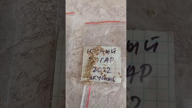 Посевная полным ходом. Какие сорта буду повторять смотреть онлайн