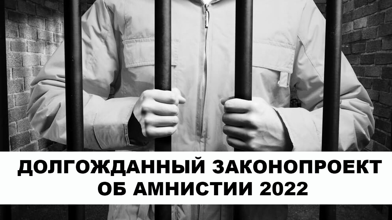 Проект амнистии 2023