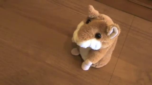 Говорящий хомяк отвечает на вопросы!!! Невероятно!!! Talking hamster смотреть онлайн