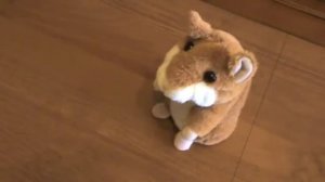 Говорящий хомяк отвечает на вопросы!!! Невероятно!!! Talking hamster