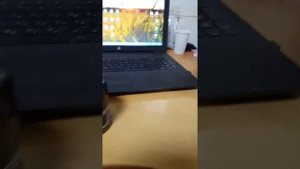 Внимание подделка