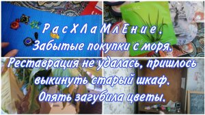 Расхламление. Нашла Забытые покупки с моря. Старый шкаф не реставрировать. Загубила цветы опять.