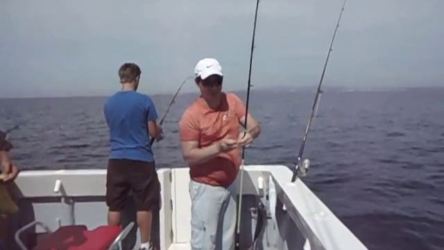 mackerel doublet.скумбрия дуплетом. смотреть онлайн