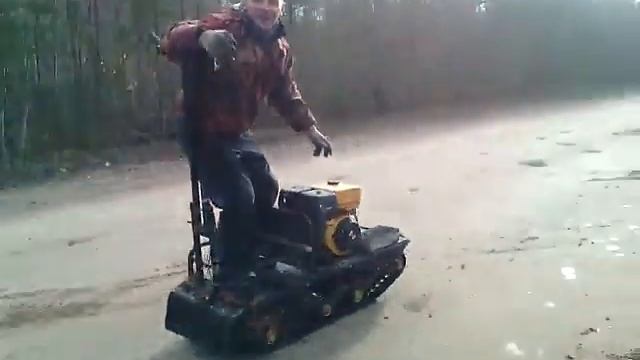 темыч на собакелетом по асфальту