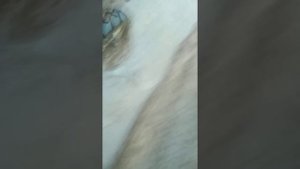 Полный привод на китайском минитракторе