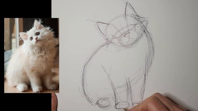 How to Draw Fluffy Long Hair Cat, using lines & shapes, front facing sitting, easy beginner tutoria смотреть онлайн
