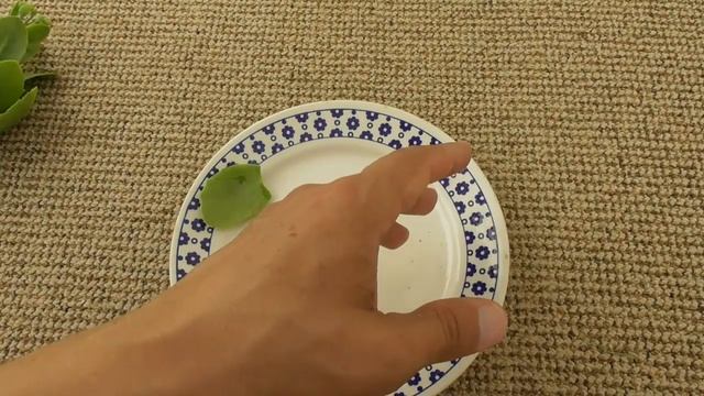 Укуси комарів та мошки - природний засіб знати свербіж смотреть онлайн