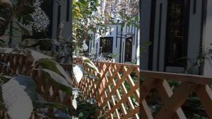 Хвоя/Бердск/ мини-отпуск сентябрь 2022 г.