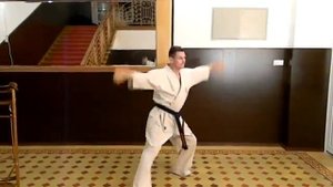 Ката или бой с тенью