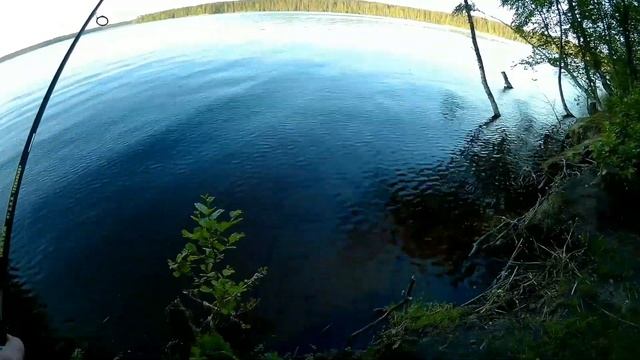 Рыбалка на озере Высокинское,рыбалка на спиннинг,судак. смотреть онлайн