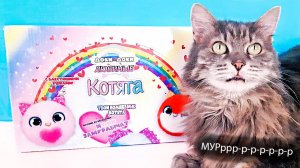 ЛЮБИМЫЕ КОТЯТА ДОКИ-ДОКИ 2022! ИГРУШКИ КОТИКИ Обзор новой коллекции сюрпризов в пакетиках от СБАБАМ