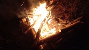 Рыбалка в пензенской области
