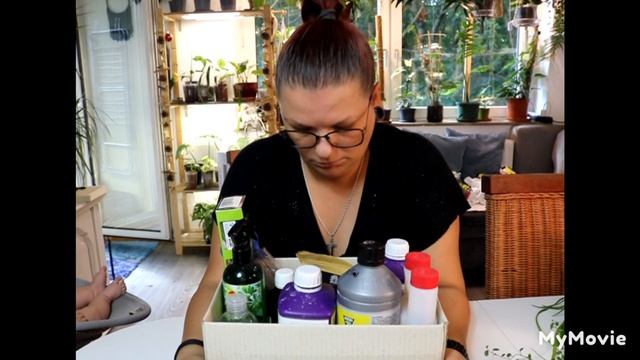 Nawozy I Nawożenie???Lepismium Bolivianum ??? смотреть онлайн