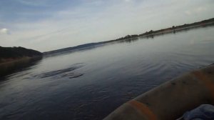 Ловля леща на кольцо с лодки.