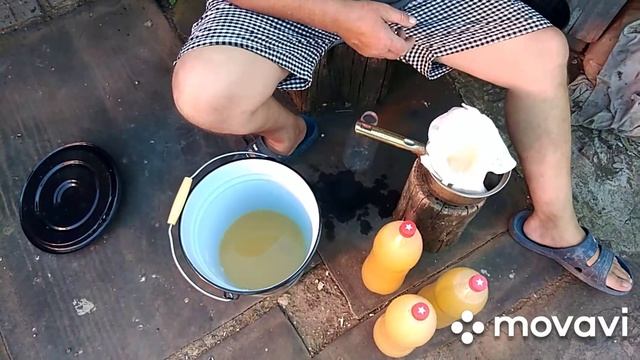 Квочка вывела утят ? смотреть онлайн