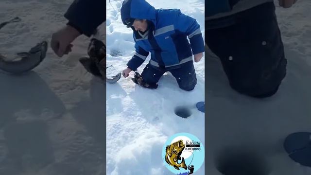 Клёвая рыбалка в Лёдово смотреть онлайн