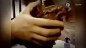 5 ДРАКОНОВ, СНЯТЫХ НА ВИДЕО  Драконы, Снятые на Камеру 1 3gp