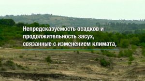 Кения: школы и озеленение страны