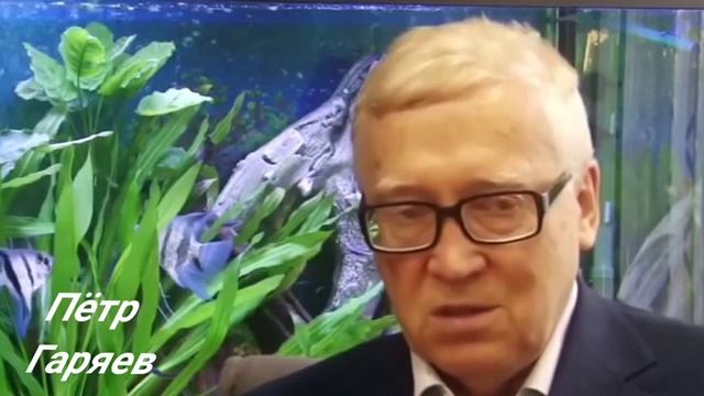 Пётр Гаряев. Полная регенерация зубов.