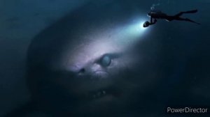 Episode 2 Thalassophobia images with Minecraft cave sounds low pitch