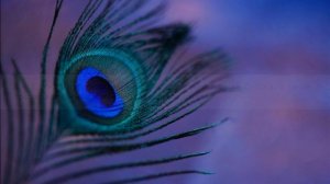 "Похвальное слово знакам препинания", Русский язык 4 класс ч.1, Школа России