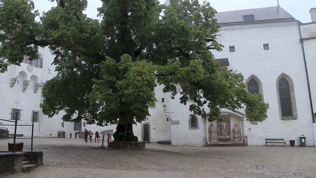 Австрия: Зальцбург / Austria: Salzburg